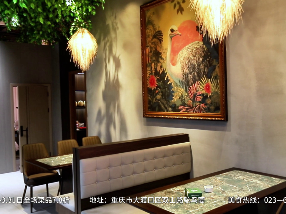 森林鸵鸟主题餐厅,专注鸵鸟餐饮20年,鸵鸟宴,宴请八方客!