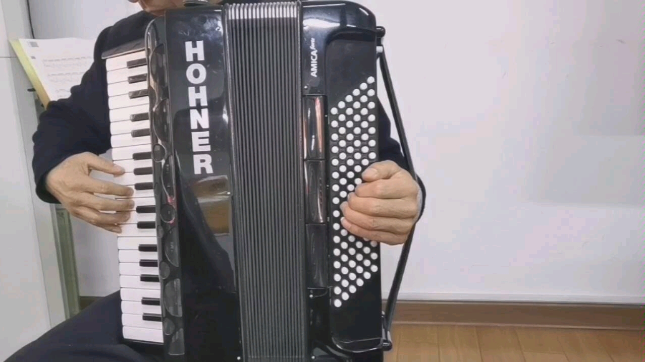 手风琴曲《小酸梅果》