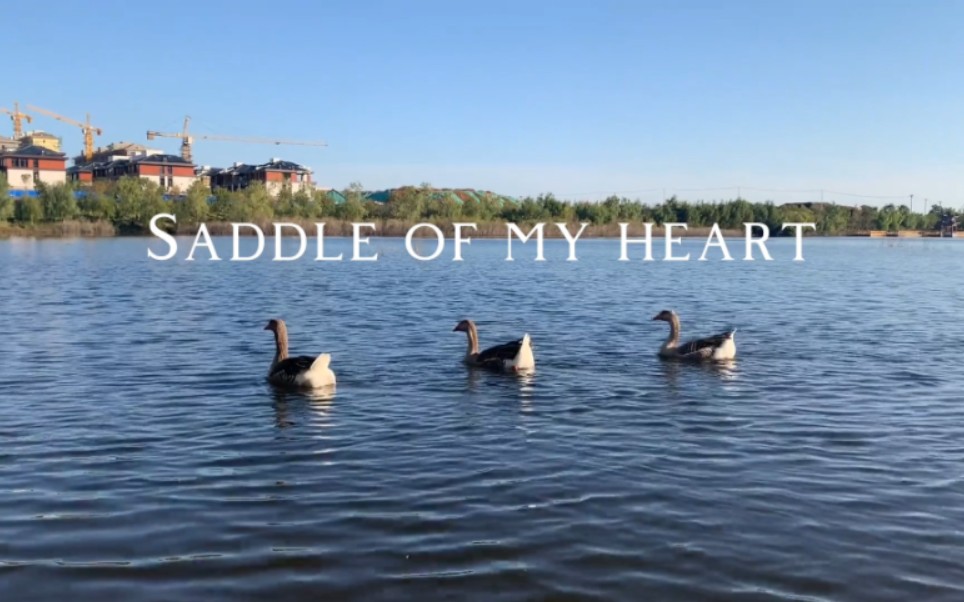 [图]抒情英文歌☞Saddle of my heart–––Teloupe