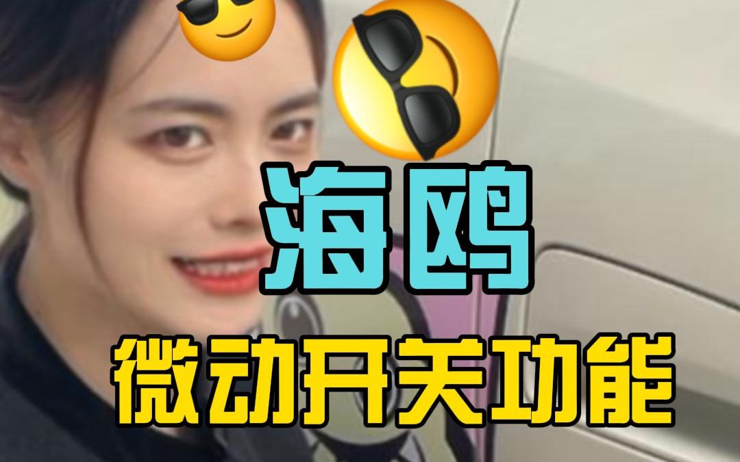 比亚迪海鸥微动开关功能分享哔哩哔哩bilibili