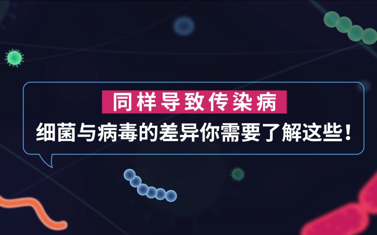 病毒与细菌的差异 你需要了解这些!哔哩哔哩bilibili