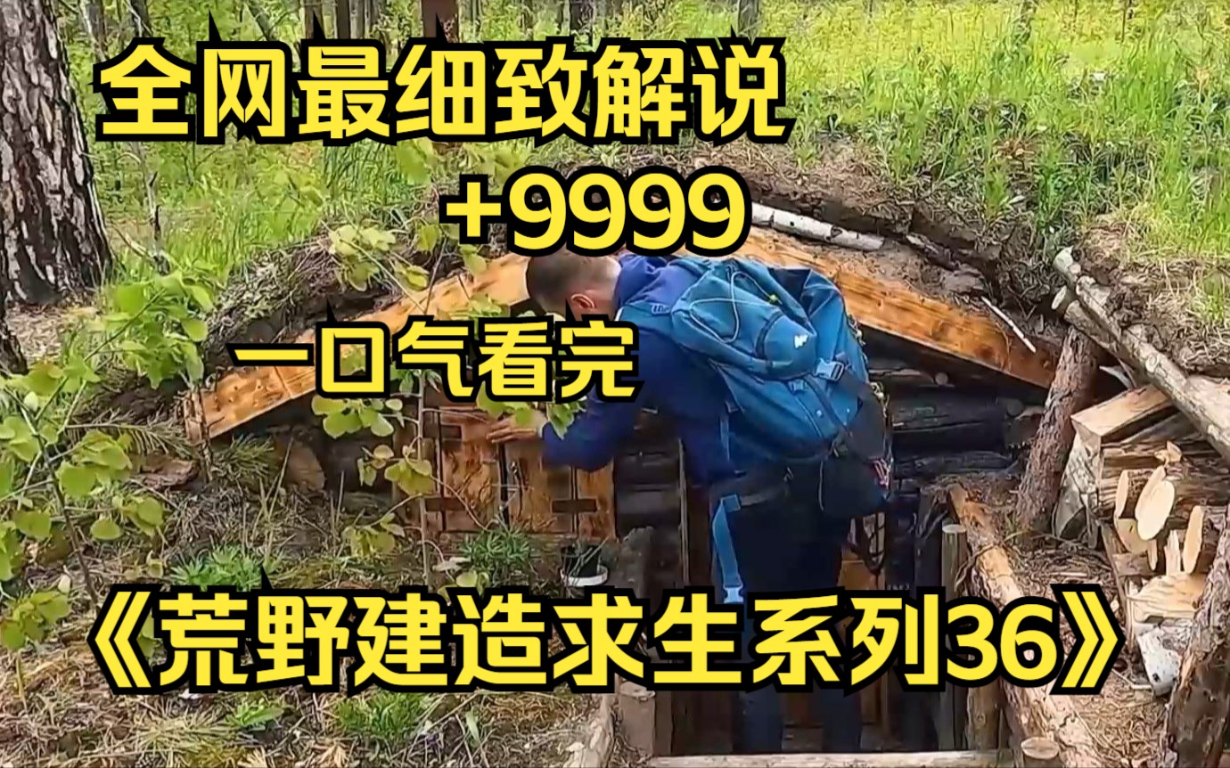 [图]【10小时】一口气看完《荒野建造求生系列36》9999部，看大神如何荒野变豪宅!助眠神视频，很少有人能坚持看完！