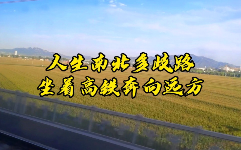 人生南北多歧路,坐着高铁奔向远方,向着梦想去前进!