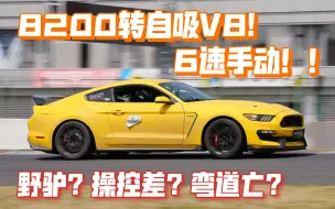 下载视频: 野马操控差？第一视角赛道试驾“GT350R”