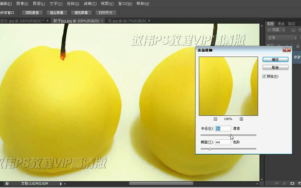 Photoshop cs6专业制作设计教程 掌握部分B0817滤镜系列普通模糊类滤镜哔哩哔哩bilibili