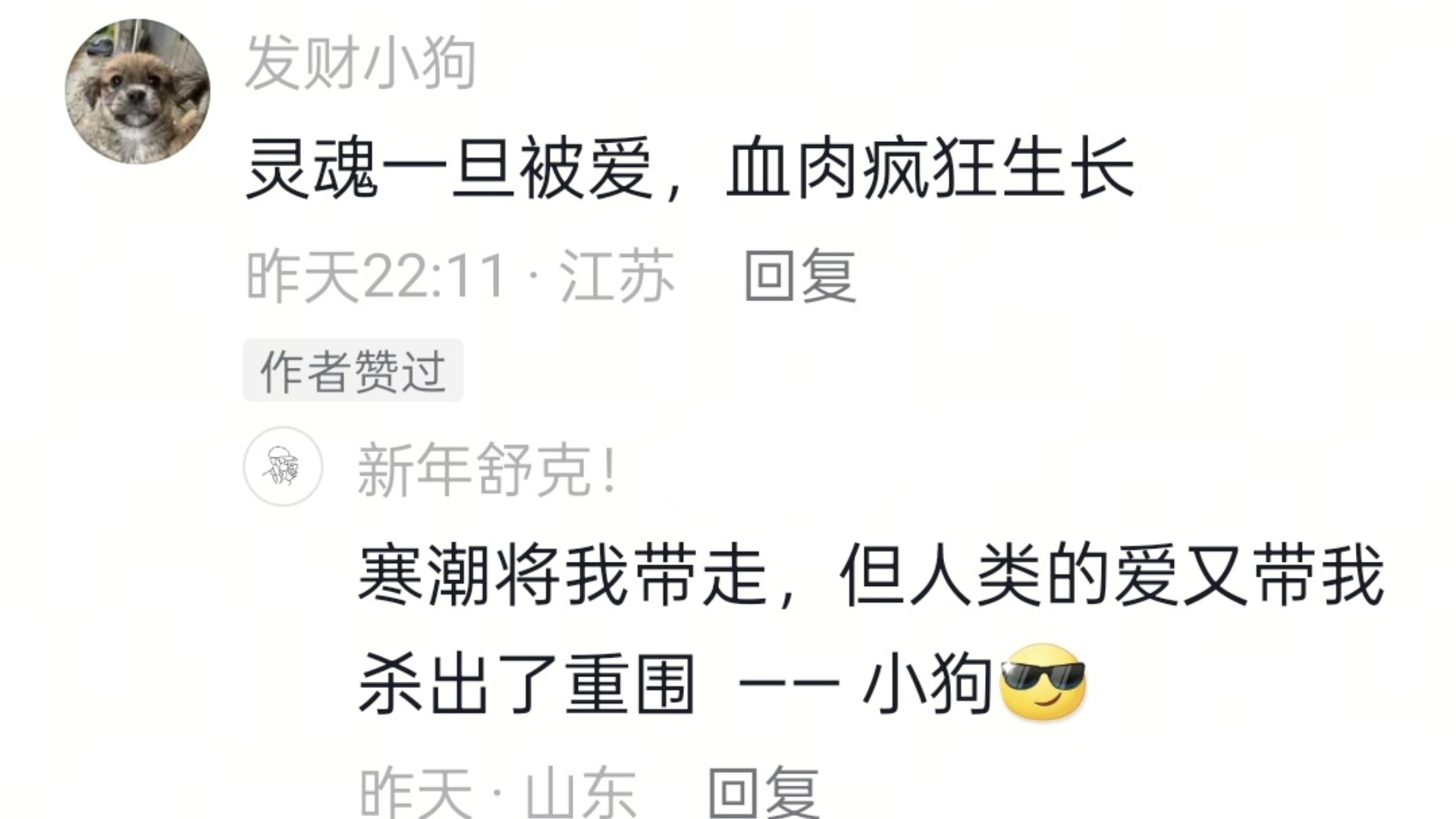 因主人的爱 小奶狗又活了一次 这应该也是主人新年收到的最好的礼物了 狗狗也偷偷的成为了主人的一束光哔哩哔哩bilibili