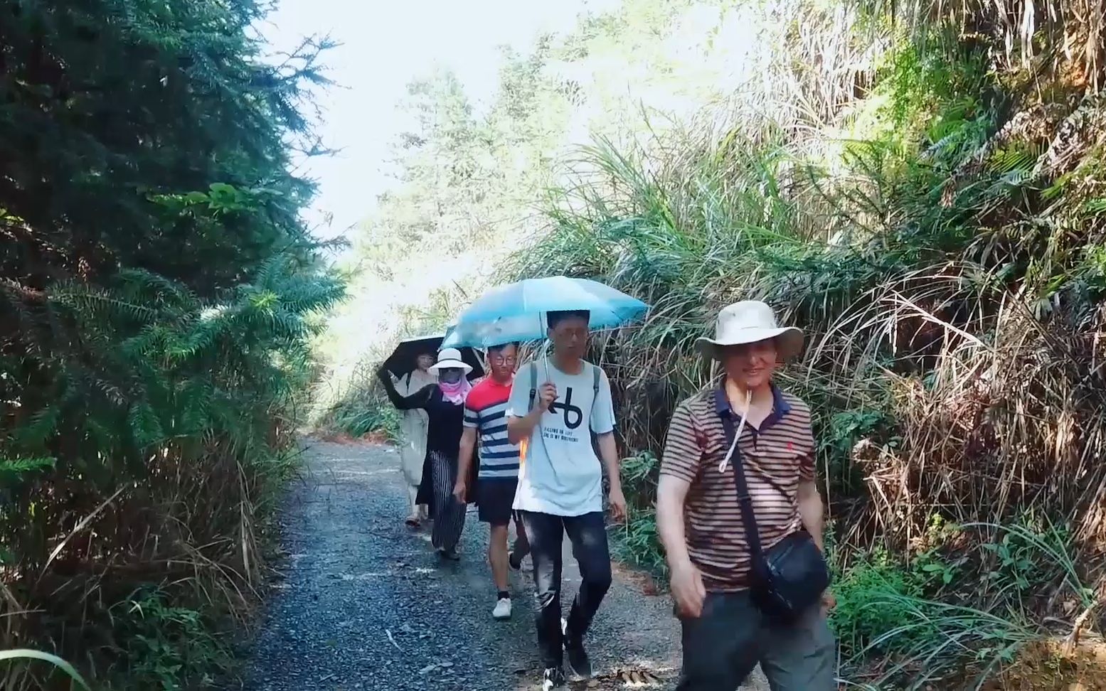 深山侠侣:上海网友驱车1500公里,到广西深山体验隐居生活,深山侠侣接待的第一批粉丝,收获非常多的感动!哔哩哔哩bilibili