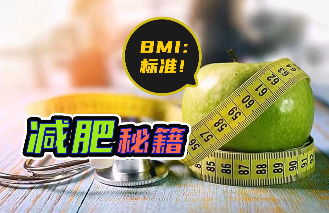 容积式饮食:快乐减肥秘籍哔哩哔哩bilibili