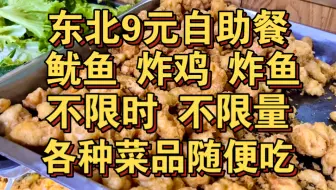 东北9元自助餐！鱿鱼 炸鸡 炸鱼随便吃！不限时不限量随便吃！