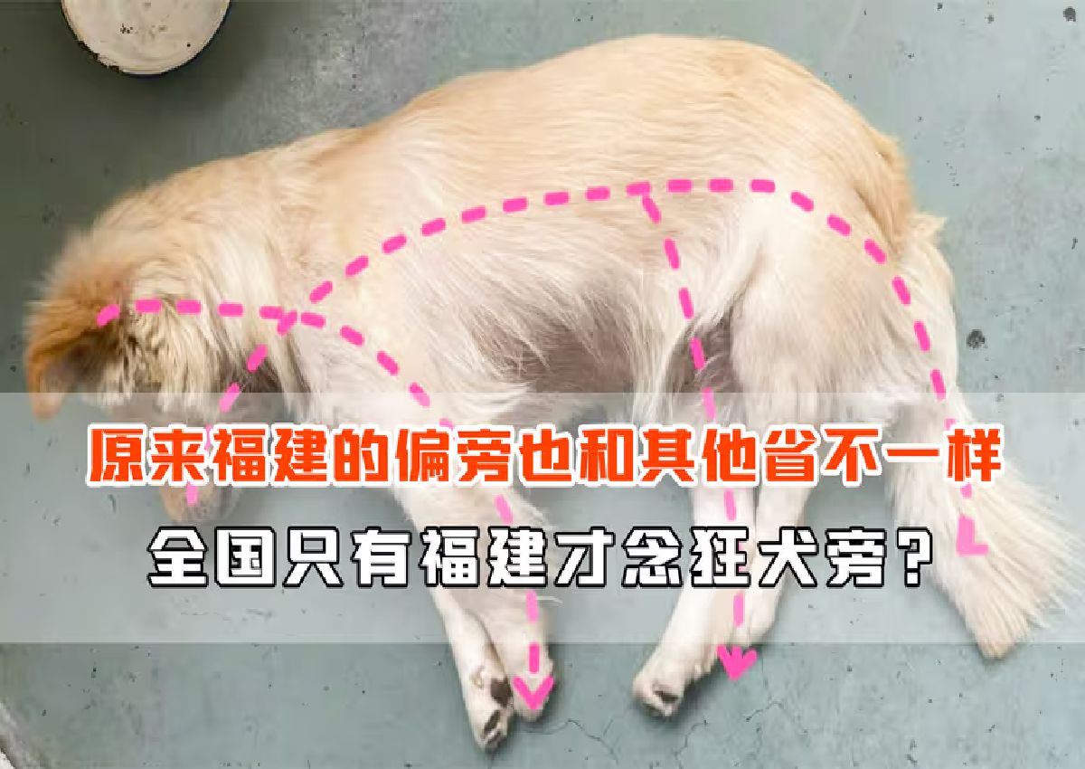 原来福建除了hf不分,偏旁也和其他省不一样,反犬旁还是狂犬旁?哔哩哔哩bilibili