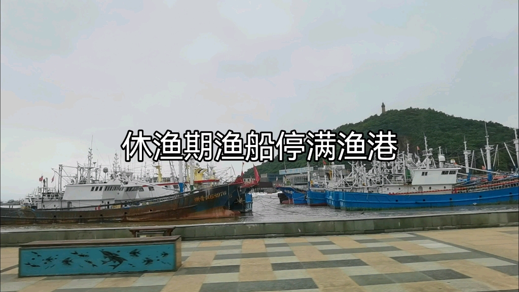 [图]休渔期的沈家门渔港停满了渔船，等待开渔以后这里重归热闹