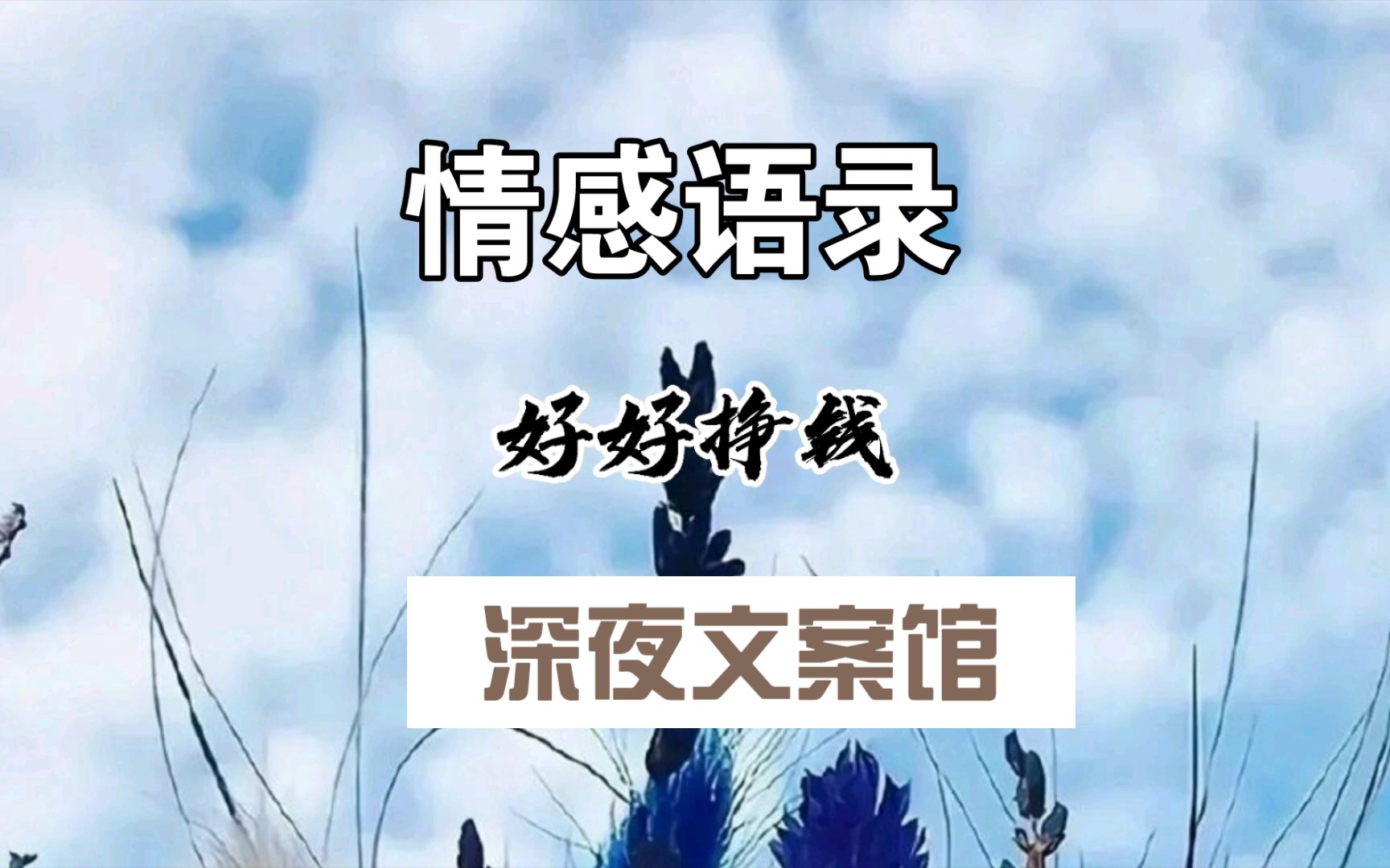活动作品深夜文案馆情感语录