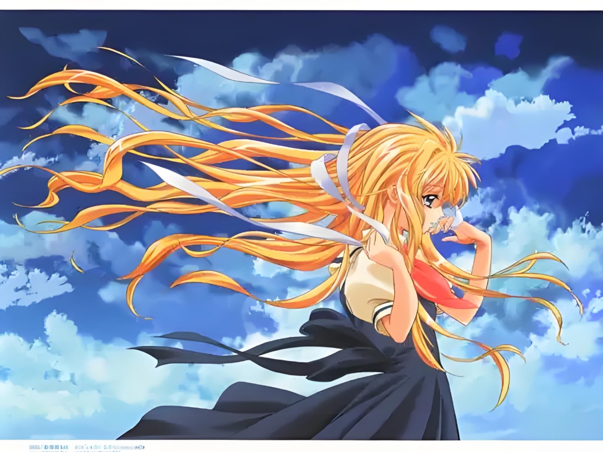 鳥の詩(鸟之诗)