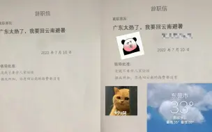 Download Video: 女子提交辞职信后被打回，一看辞职原因令网友傻眼，领导回复亮了