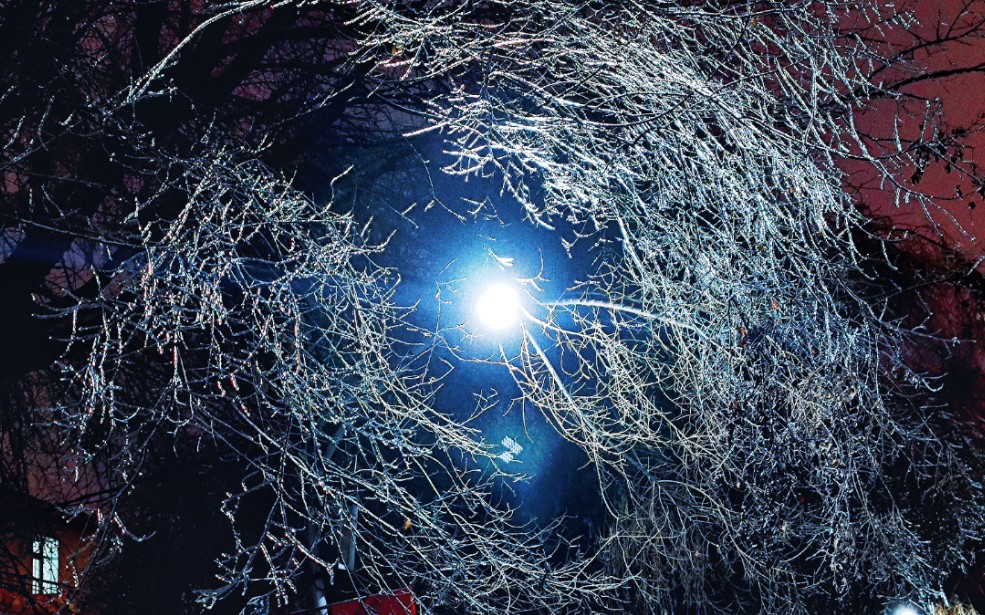 【雪景】今我来思,雨雪霏霏