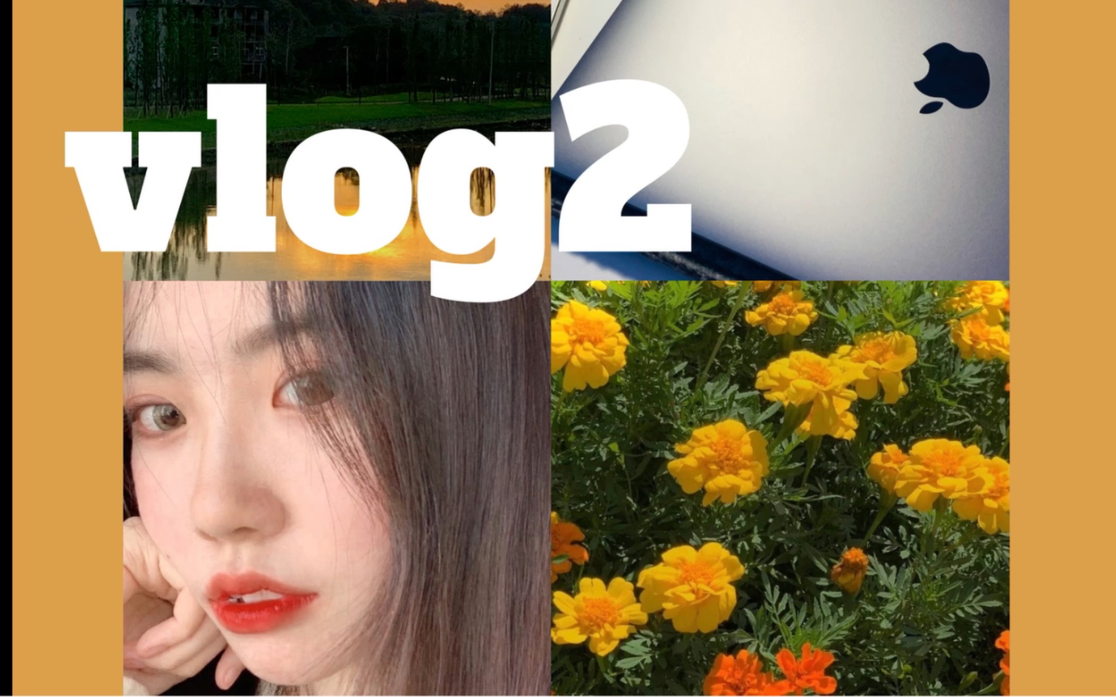 vlog 2 # 实习律师日常|新电脑来啦|夕阳|彩虹|好吃的|日常|治愈哔哩哔哩bilibili