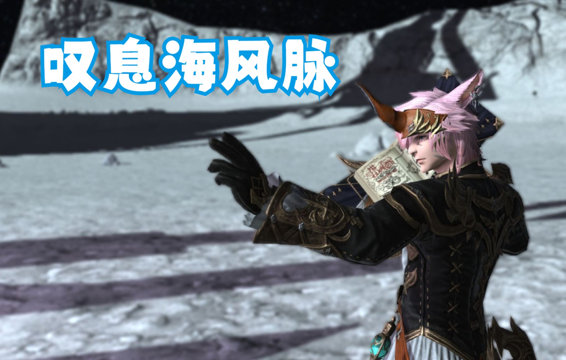 【FF14】6.0风脉攻略全解教学叹息海FF14