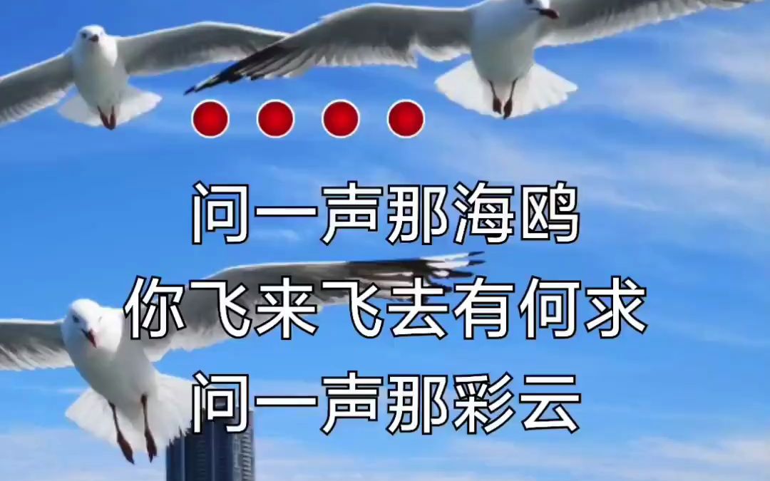 [图]《彩云伴海鸥》经典歌曲，百听不厌