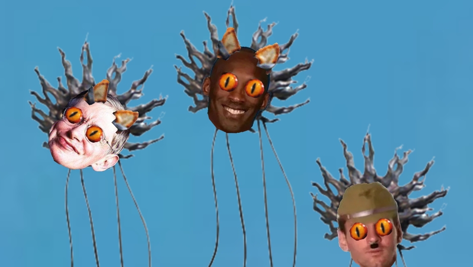 孩子们,宇宙化猫