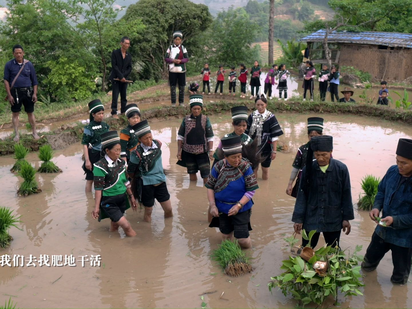 [图]宣传片《哈尼族多声部民歌》