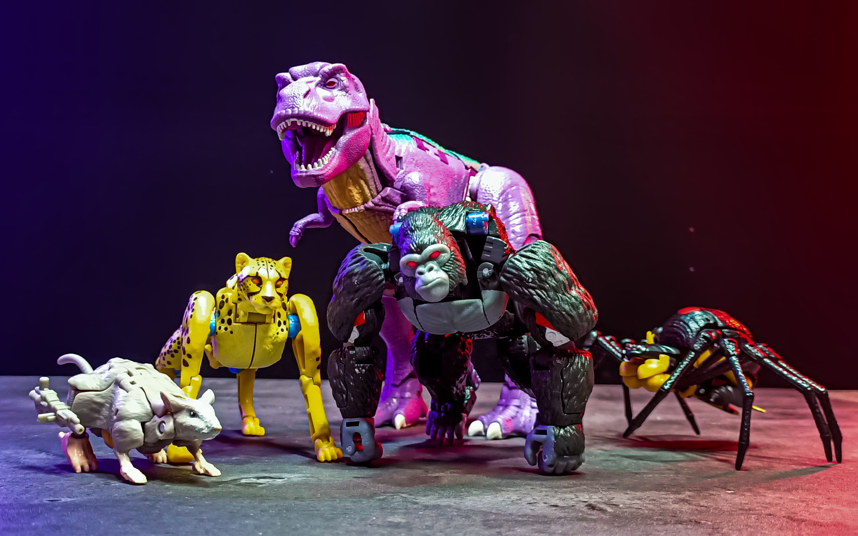 变形金刚王国系列bw五人组变形展示 超能勇士 猛兽侠 猩猩队长/霸王龙