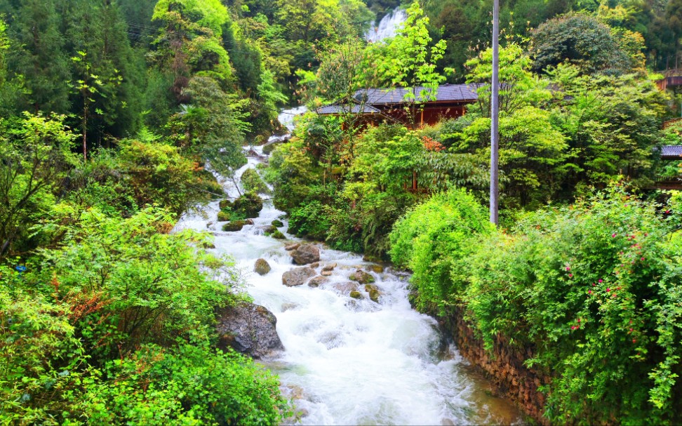 西岭雪山前山至西岭镇,路况信息及旅游攻略,免费的风景依然震撼哔哩哔哩bilibili