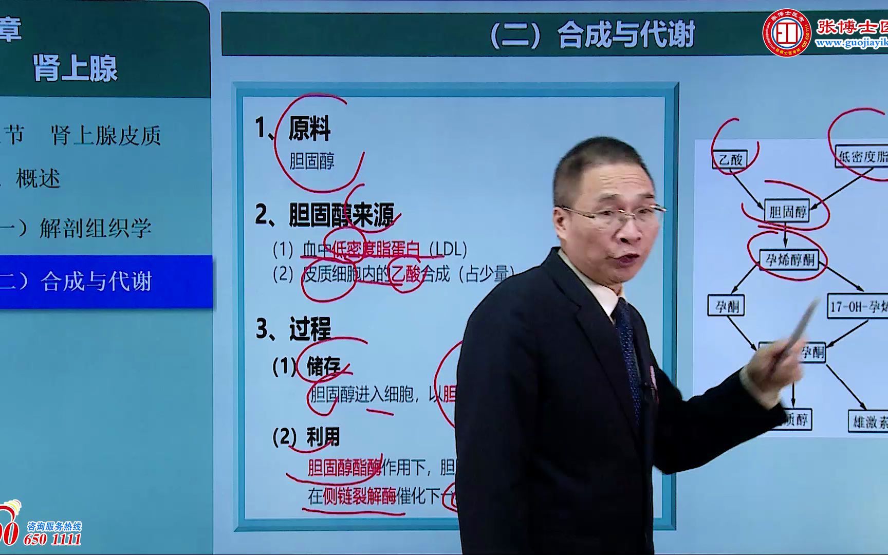 活动作品考研西医综合生理学黄唯一老师内分泌系统中03