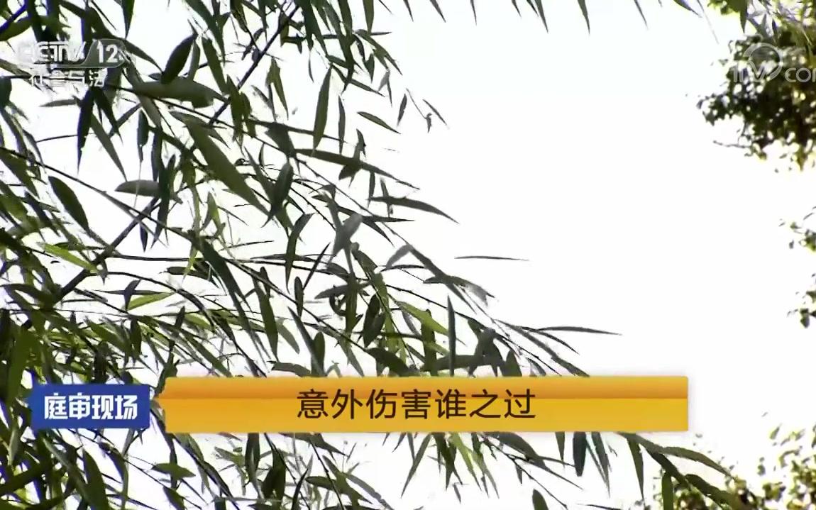 《庭审现场》 20180616 意外伤害谁之过[超清版]哔哩哔哩bilibili