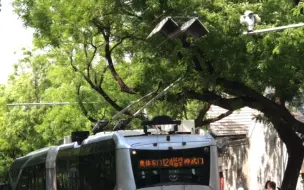 Скачать видео: 【没卡进槽？先走走看】124路电鲶鱼景山东街升杆险些失败