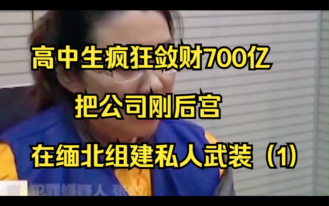 高中生疯狂敛财700亿,把公司当后宫,在缅北组建私人武装哔哩哔哩bilibili