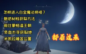 下载视频: 【艾尔登法环】白金魔法师塔怎么进？魅惑树枝哪里获得？圣血木芽和米凯拉睡莲获得地点，都看过来