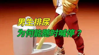 Download Video: 为什么男生排尿可以随时喊停？