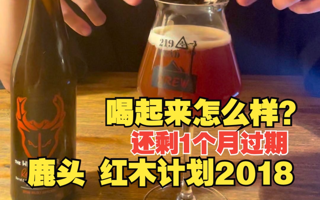 【啤酒档案第2期】鹿头 红木计划2018 还有一个月过期的酒喝起来什么样哔哩哔哩bilibili