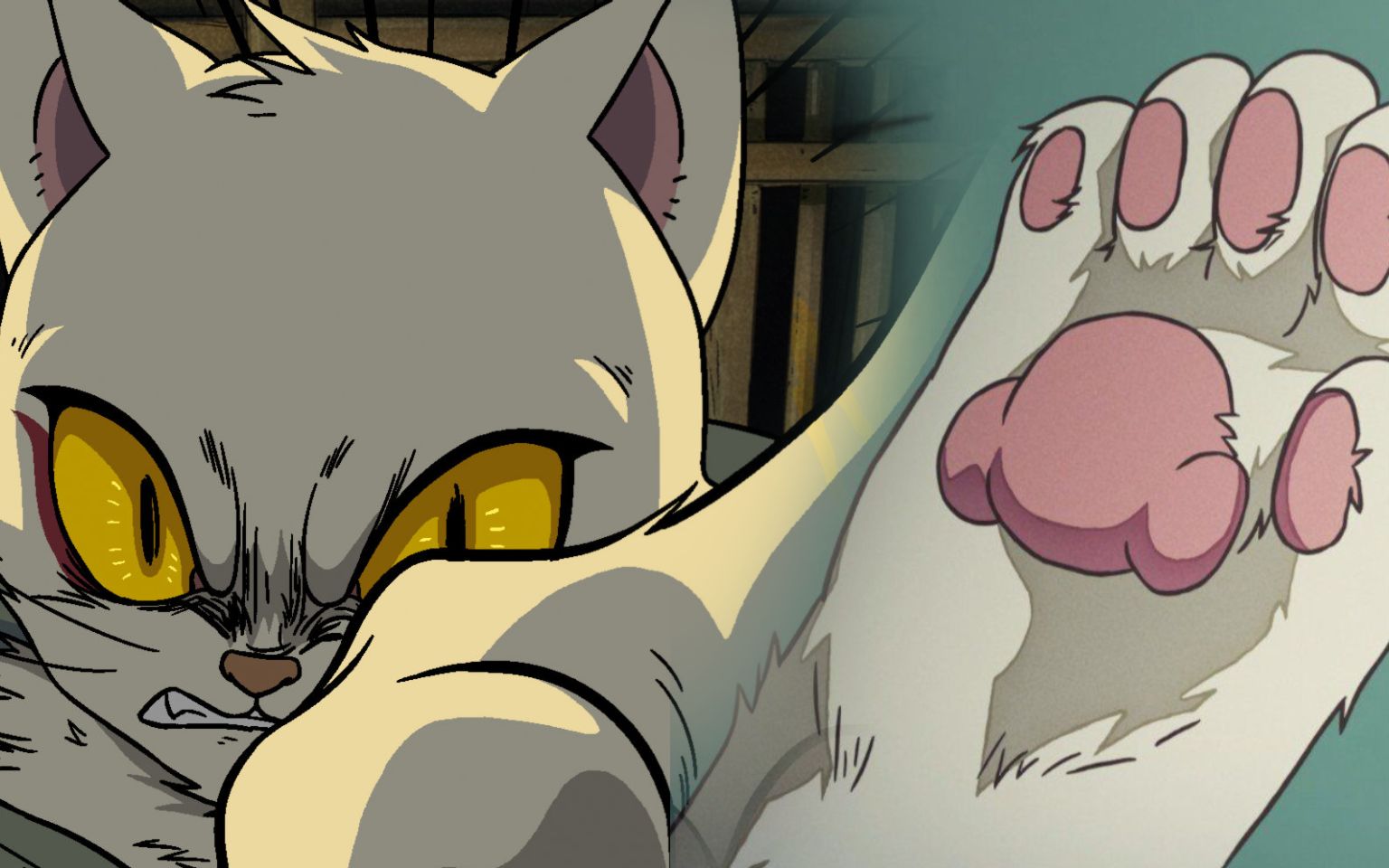 大理寺日志双面猫爷猫爷今天吃药了么