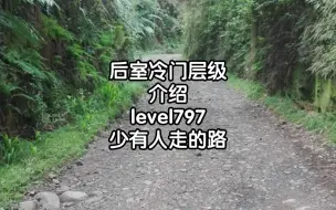 Download Video: 后室冷门层级介绍level797少有人走的路