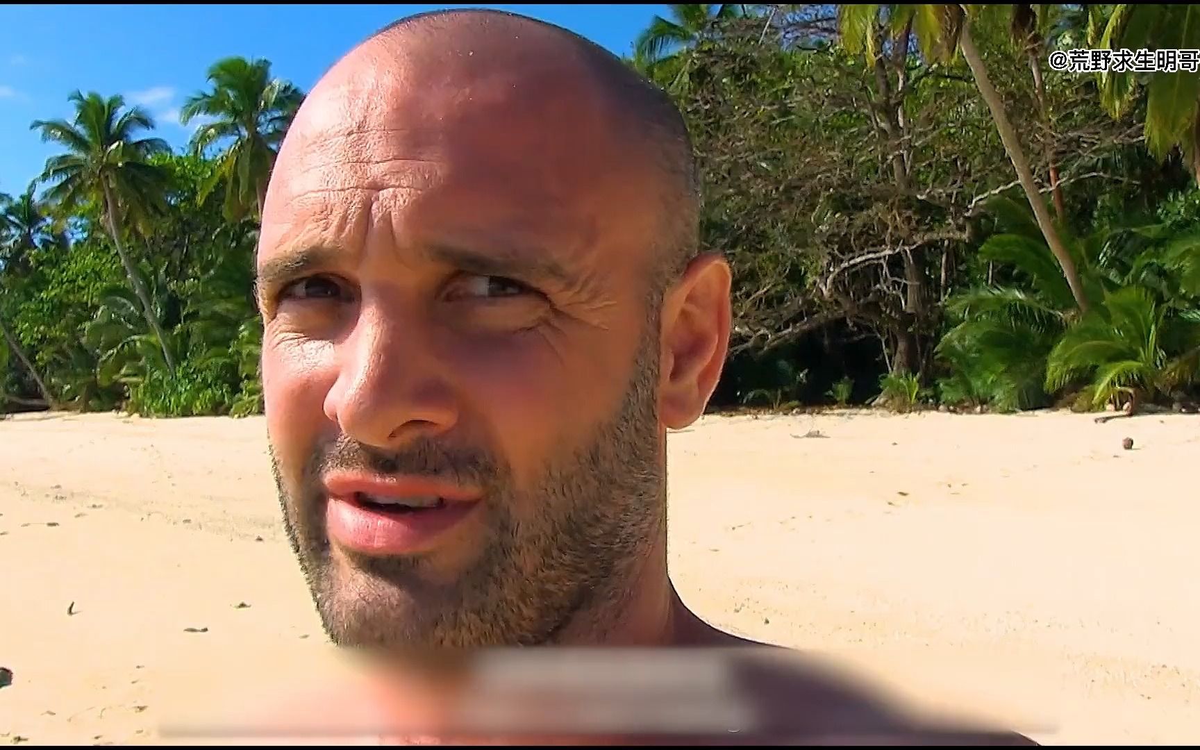 德爷的海岛荒野求生,海鲜成了家常便饭,纪录片