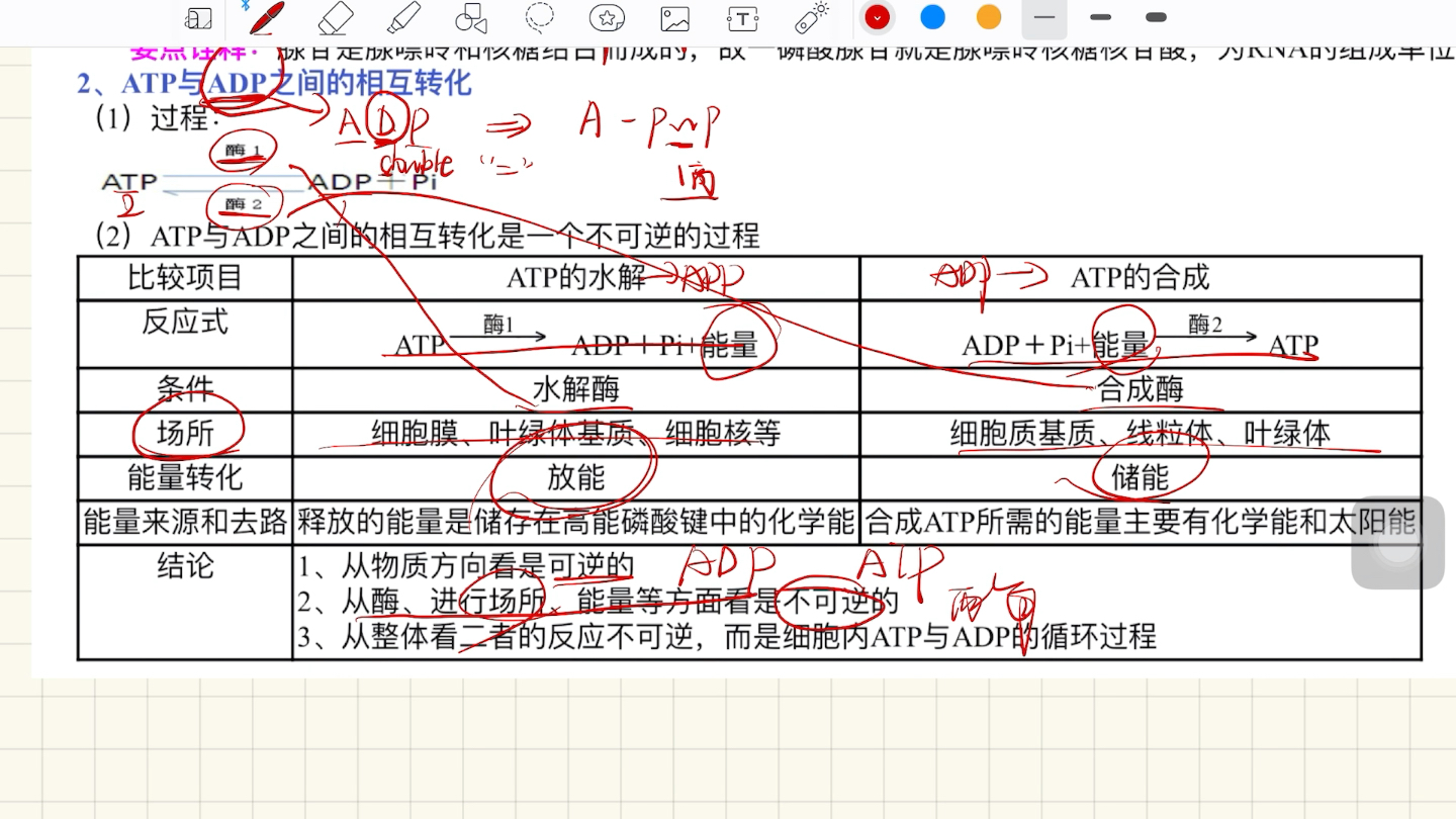 [图]高中生物/细胞的能量通货-ATP💕（知识点总结+快速记忆）