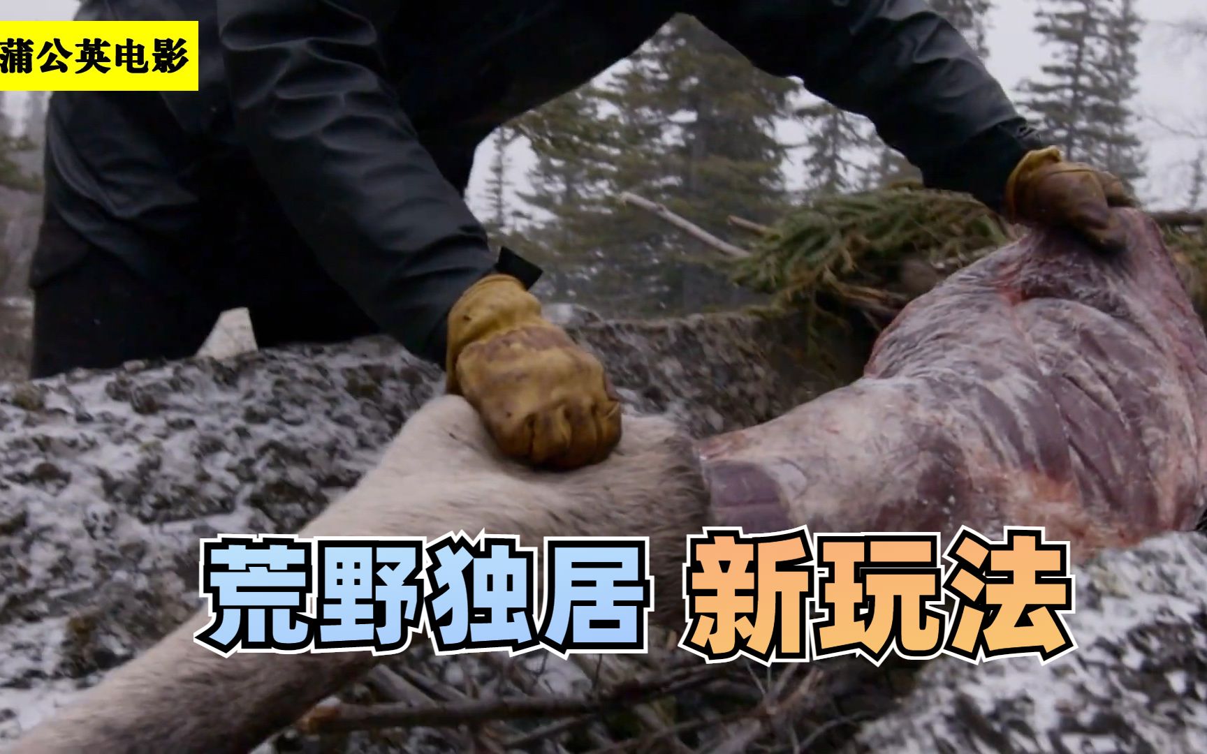 荒野独居番外篇三人不带任何工具挑战北极生存30天野兽