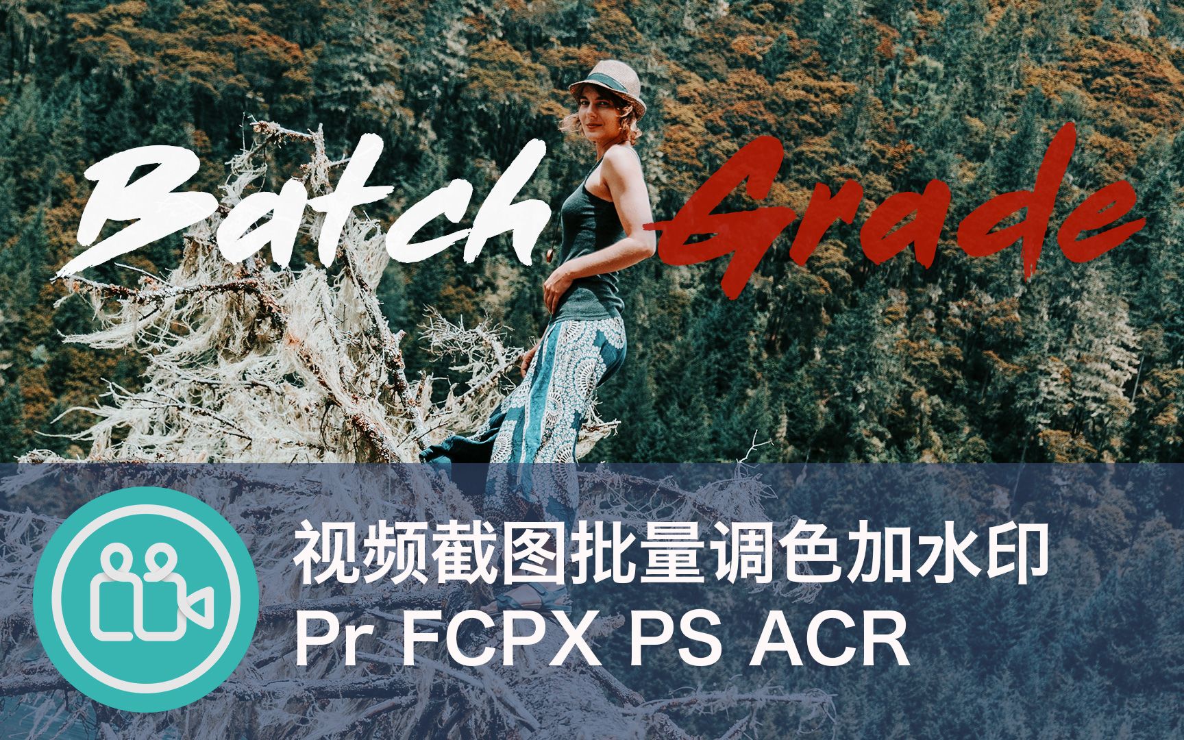 【视频大拍档】4k视频截图批量调色加水印Pr fcpx Ps ACR哔哩哔哩bilibili