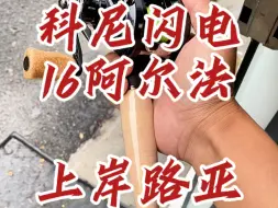 Download Video: 科尼闪电配16阿尔法air，下雨天摸摸装备挺好的，科尼闪电tz版661LST+16款阿尔法air5.8L#上岸路亚 #科尼闪电 #阿尔法air