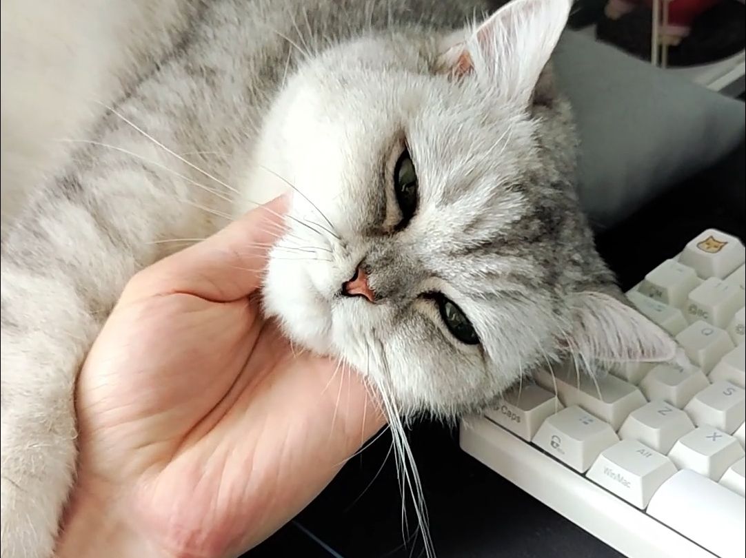 做完一套马杀鸡立马倒头就睡