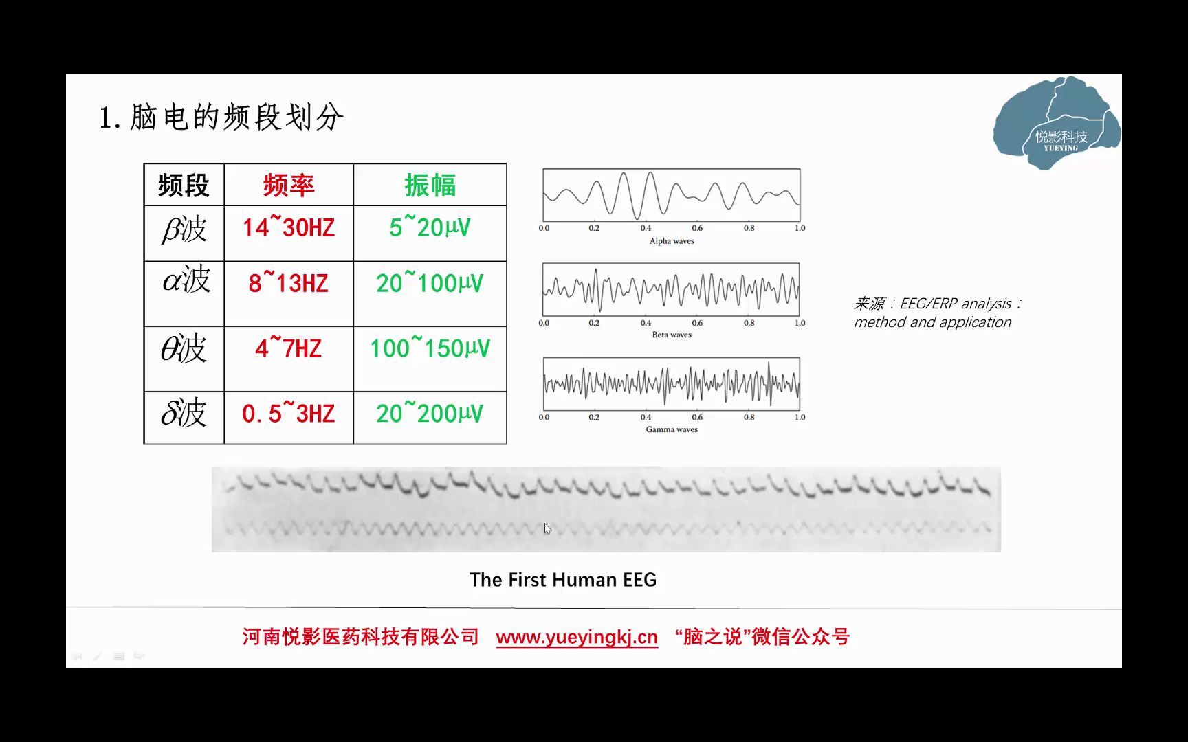 悦影科技EEG/ERP基础知识系列讲座第20讲:浅谈脑电中的alpha振荡哔哩哔哩bilibili