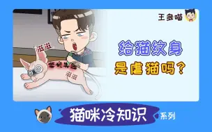 Tải video: 给猫文身，到底是不是虐猫？反正我觉得没好处！不要文身！