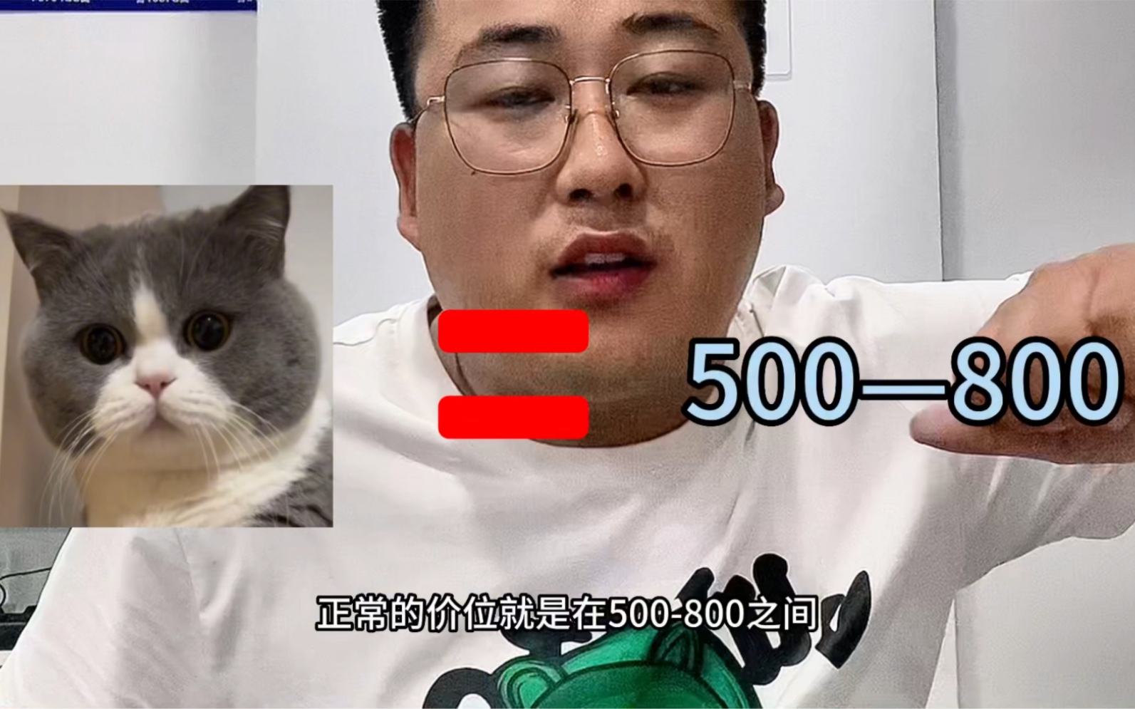 猫贩子带你了解当下猫咪价格