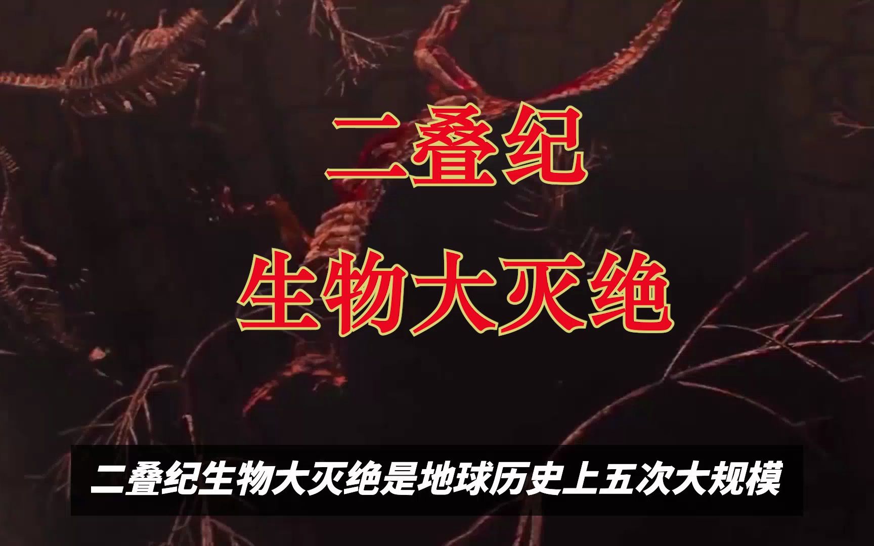 地球的大灾难——揭秘二叠纪生物大灭绝