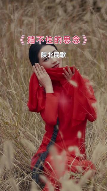 经典老歌 #陕北民歌 #挡不住的思念 #完整版 #音乐分享