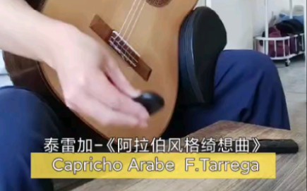 [图]泰雷加-《阿拉伯风格绮想曲》 Capricho Arabe F.Tarrega 演奏：谢泚