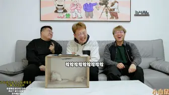 哈哈哈哈哈摸箱挑战