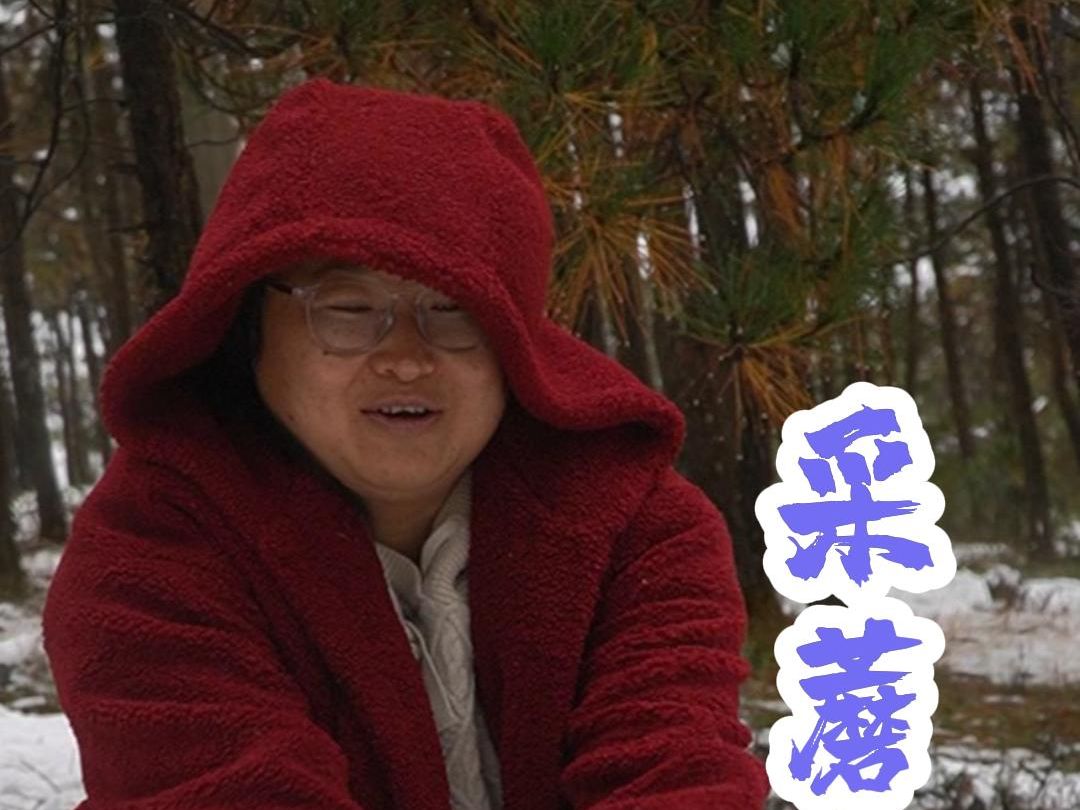 下雪了!玩完雪大花猫继续去采蘑菇哔哩哔哩bilibili