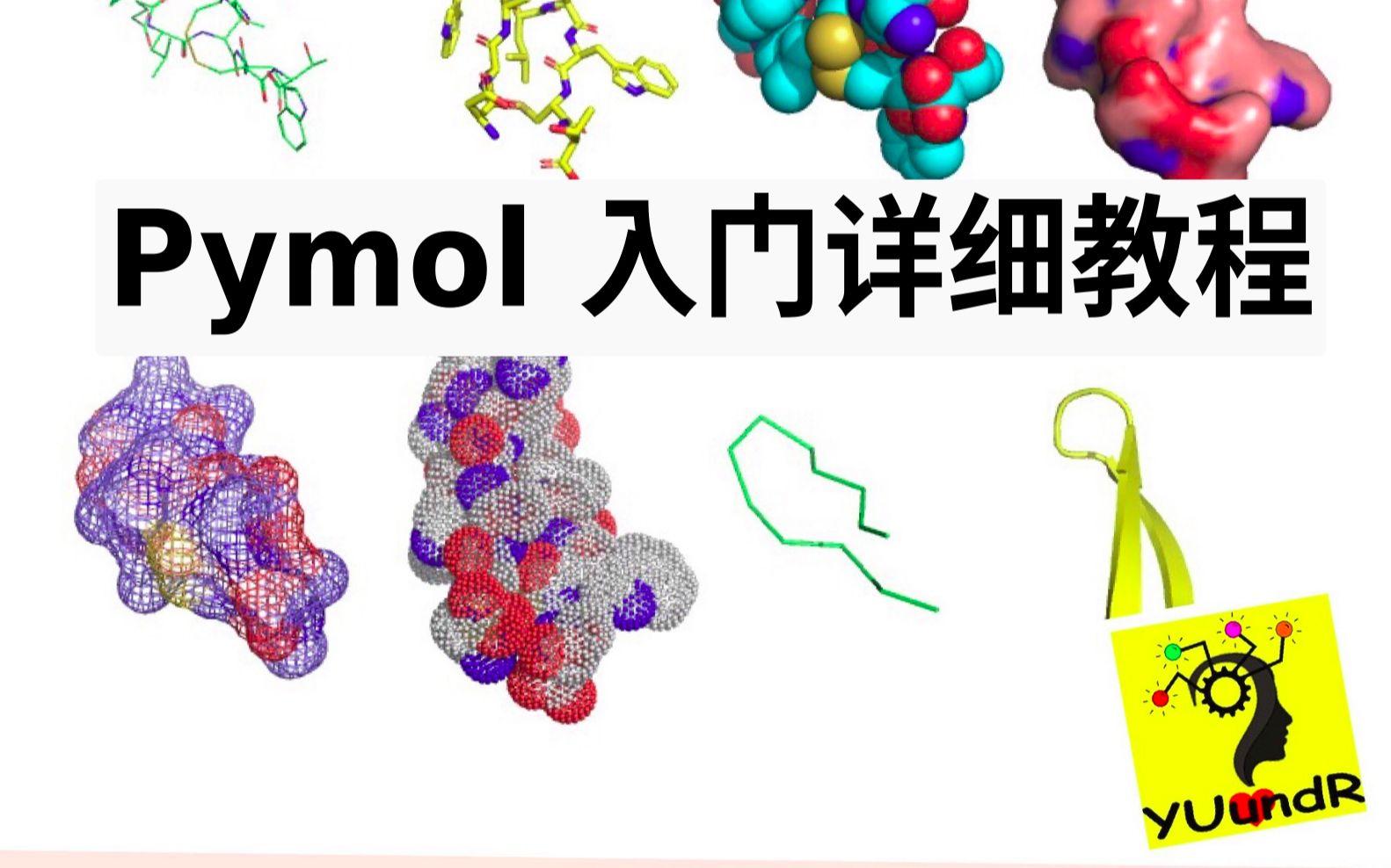 Pymol和VMD制作Gromacs分子动力学模拟后的轨迹动画（蛋白配体复合物) - 知乎